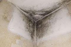 Aktuell: Wohnen in Berlin