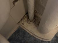 IMG-20191219-WA0001