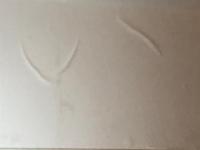 IMG-20191219-WA0002
