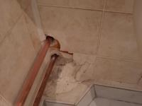 IMG-20191219-WA0005