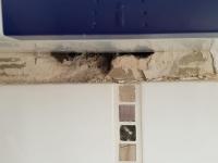 IMG-20191219-WA0007