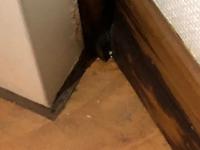 IMG-20191219-WA0015