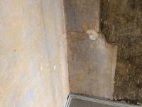 IMG-20191219-WA0023
