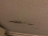 IMG-20191219-WA0027