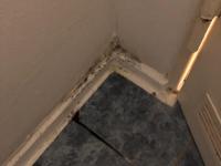 IMG-20191219-WA0028