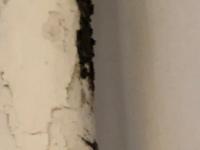 IMG-20191219-WA0030